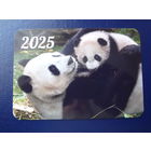 Календарик 2025 г.  Панды.