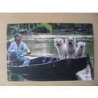 ПОДПИСАННАЯ ОТКРЫТКА. ГЕРМАНИЯ. ТРИ СОБАКИ, НЕ СЧИТАЯ ЛОДОЧНИКА.