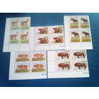 Беларусь 1996 квартлоки угол серия фауна