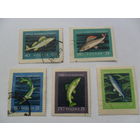 Польша, рыбы