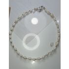 Ожирение из ракушек . С рубля