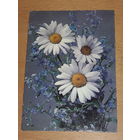 Открытка из Венгрии в БССР 1971 год. Всемирная охотничья выставка. Прошла почту