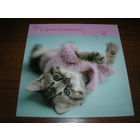 С Днем рождения Котенок Рэчел Хэйл 2011 год Двойная подписана