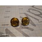 Пара пуговиц школьника СССР 1962