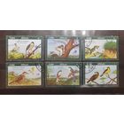 Куба. 1976 год. Фауна. Птицы (436)