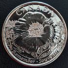 Канада 25 центов 2015 100 лет стихотворению На полях Фландрии (1.6.6).