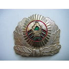 Кокарда МВД РБ. 1996-2000г.