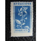 Болгария. Флора.