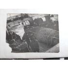 Фото трал с рыбой