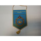 Вымпел ВДВ РФ