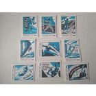 Спичечные этикетки ф.Сибирь. Спорт