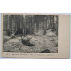 Изд. Адамович. Город Минск. На войне. Землянки в лесу на передовых позициях.