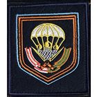 51 полк 106 дивизии ВДВ РФ