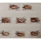 РАСПРОДАЖА КОЛЛЕКЦИИ. Стаффа. марки "рыбы"