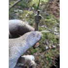 Лот по старине