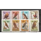 ФФ1 Венгрия 1962 Птицы