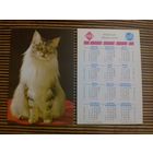 Карманный календарик. Котик. 1996 год