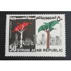 Сирия 1975 г. 1-я годовщина повторной оккупации Кунейтры, полная серия из 1 марки. Чистая #0013-Ч1P2