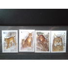 2000 Рысь WWF ** Полная серия