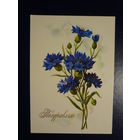 Поздравляю!  Васильки.  1974 г.  подписанная.