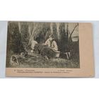 В пользу женского патриотического общества   открытка до 1917 года