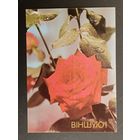 Вiншую! Беларусь 1990