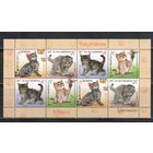 Беларусь-2017,(Мих.1169-1172)  , Фауна, Котята