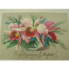 8 Марта   -  1984г.