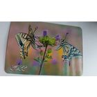 Календарик. пара бабочек.2022 год