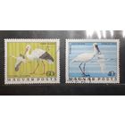 Венгрия. 1976 год. Фауна. Птицы (365)