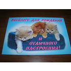 С Днем рождения Котята Двойная подписана