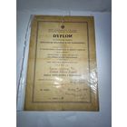 Диплом к Польской медали Победы и свободы. Выдан в 1950 г.