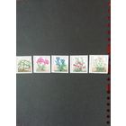 Германия. 1991 Серия из пяти марок "Садовые растения и цветы" (чистые**) Mi.1505-1509 каталог 9.50 евро