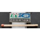 С Новым Годом! Ая-17