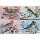 Картмаксимум "Птицы - зимние гости Беларуси"