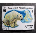 Марка СССР 1987 год Белый медведь