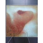 PINK FLOYD - Meddle 71 Harvest England EX+/EX