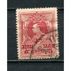 Таиланд - 1920/1926 - Король Вачиравуд 5S - [Mi.167] - 1 марка. Гашеная.  (Лот 63HL)-T2P4