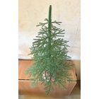 Елка новогодняя пластмассовая разборная БССР