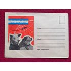 Конверт СССР. Космонавты Стрелка и Белка. Космос. 1960 г. Чистый.