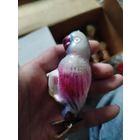 Попугай,каталог,из доктор Айболит,под реставрацию трубки