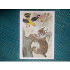 Открытка. Рысенок- задира. Художник Л. Гамбургер. 1988 год.