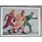 Спорт. Дейнека. Лыжники