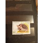 2012 Беларусь фауна (1-4)