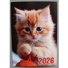 Котенок. Календарик, 2026