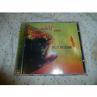 STEVE MORSE BAND - SPLIT DECISION - 2002 -