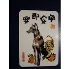 Календарик 2006 г.  КэрриКом.