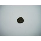 Неопределённая чешуйка.