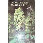 Лекарственные травы для Вас. ИЛЛЮСТРАЦИИ! КНИГА-ПОДАРОК ДЛЯ ЛЮБОГО ЖЕЛАЮЩЕГО, КУПИВШЕГО У МЕНЯ 5 ЛОТОВ