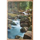 Старинная немецкая открытка. Горный ручей. Прошла почту. Марка.